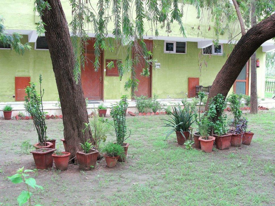 Hotel Bharatpur Ashok Exterior foto