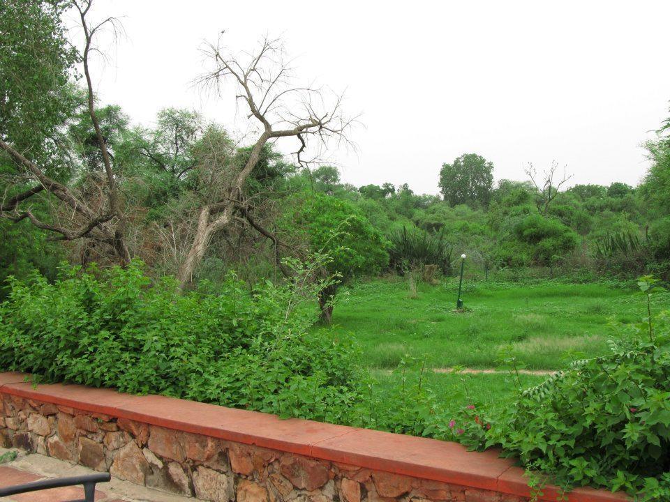Hotel Bharatpur Ashok Exterior foto